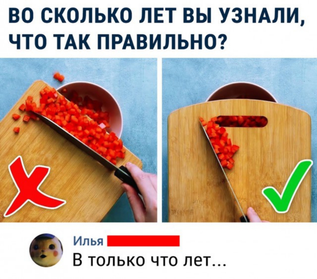 ВО СКОЛЬКО ЛЕТ ВЫ УЗНАЛИ ЧТО ТАК ПРАВИЛЬНО В только что пет