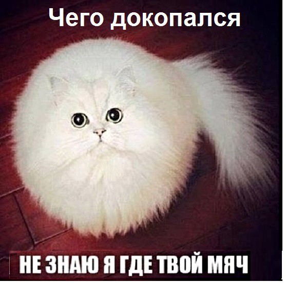 Ь Г ке я Го Ко у РД оз НЕЗНАЮ Я ГДЕ ТВОЙ МЯЧ