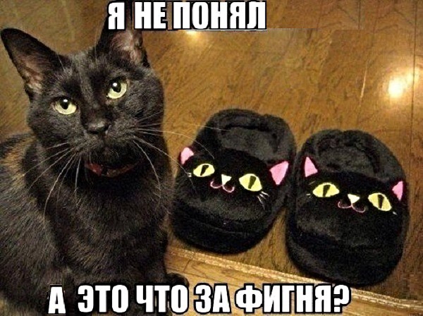 Я НЕПОНЯЛ 2 ч Феб п это что ЗА ФИГНЯ