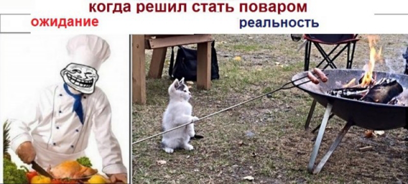 когда решил стать поваром ожидание реальность