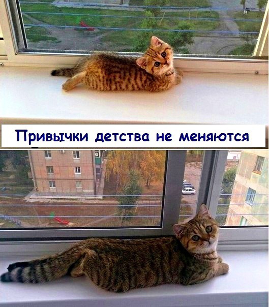 Привычки детства не меняются ские