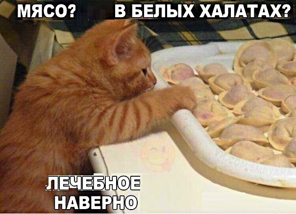 МЯСО В БЕЛЫХ ХАЛАТАХ