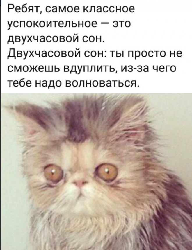 Ребят самое классное успокоительное это двухчасовой сон Двухчасовой сон ты просто не сможешь вдуплить из за чего тебе надо волноваться