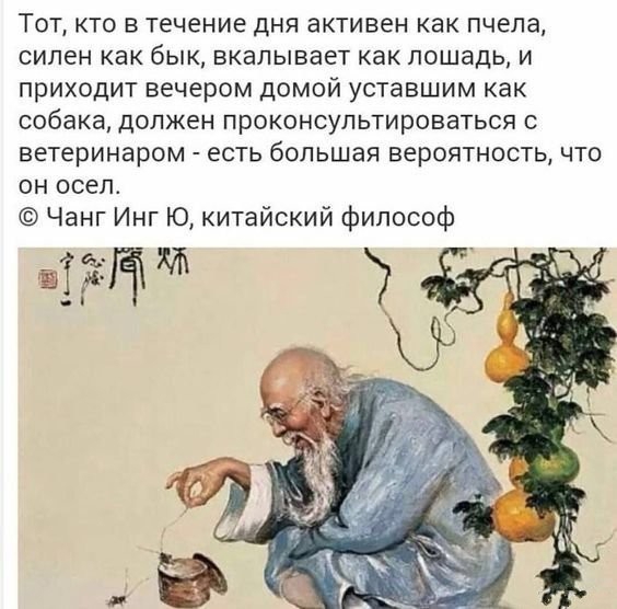 Тот кто в течение дня активен как пчела силен как бык вкалывает как лошадь И приходит вечером домой уставшим как собака должен проконсультироваться ветеринаром есть большая вероятность что он осел Чанг Инт Ю китайский философ