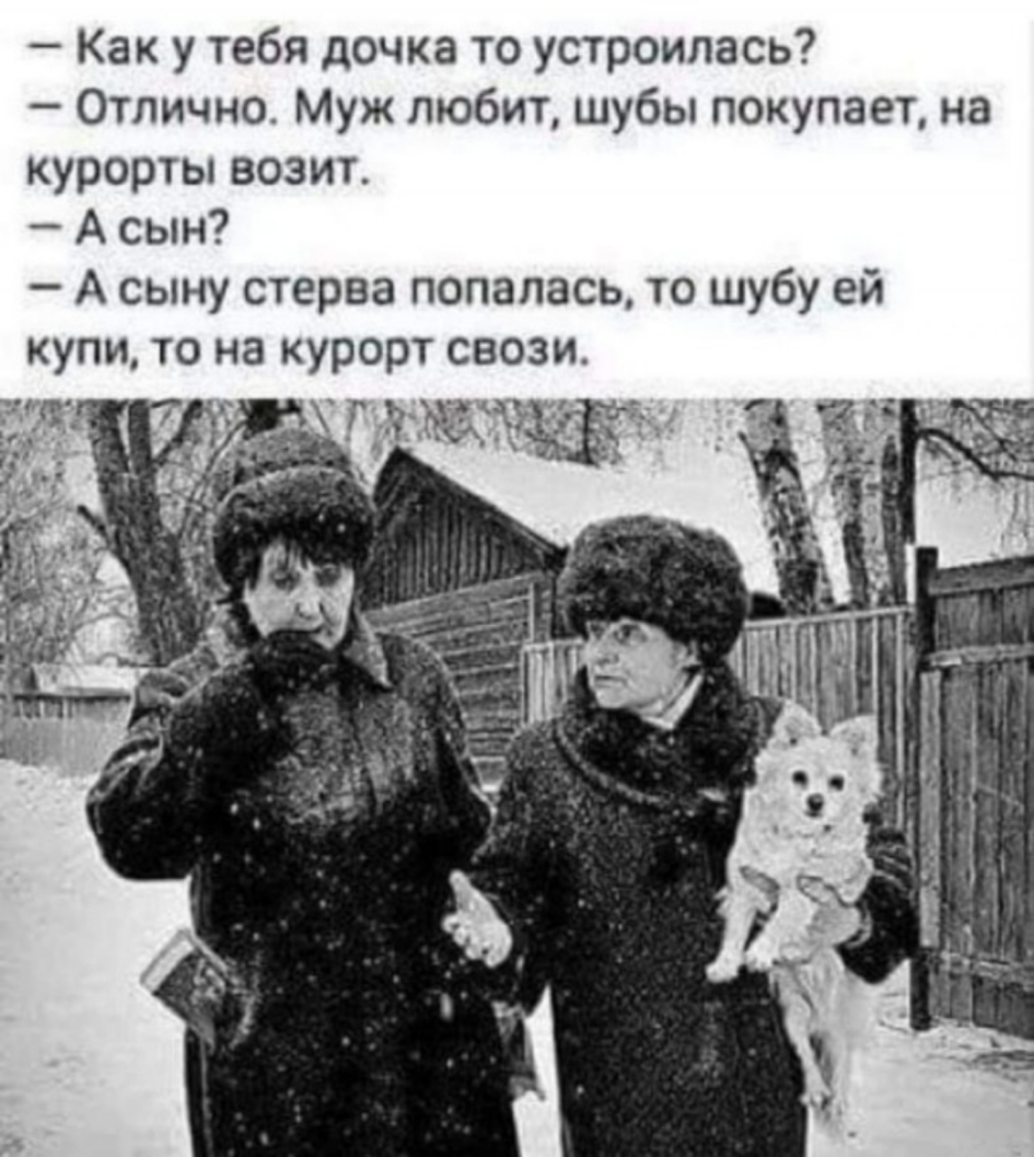 Как у тебя дочка то устроилась Отлично Муж любит шубы покупает на курорты возит А сын А сыну стерва попалась то шубу ей купи то на курорт свози