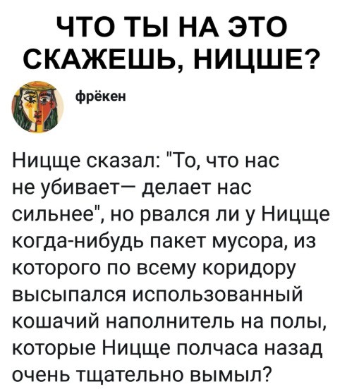 ЧТО ТЫ НА ЭТО СКАЖЕШЬ НИЦШЕ фрёкен Ницще сказал То что нас не убивает делает нас сильнее но рвался ли у Ницще когданибудь пакет мусора из которого по всему коридору высыпался использованный кошачий наполнитель на полы которые Ницще полчаса назад очень тщательно вымыл