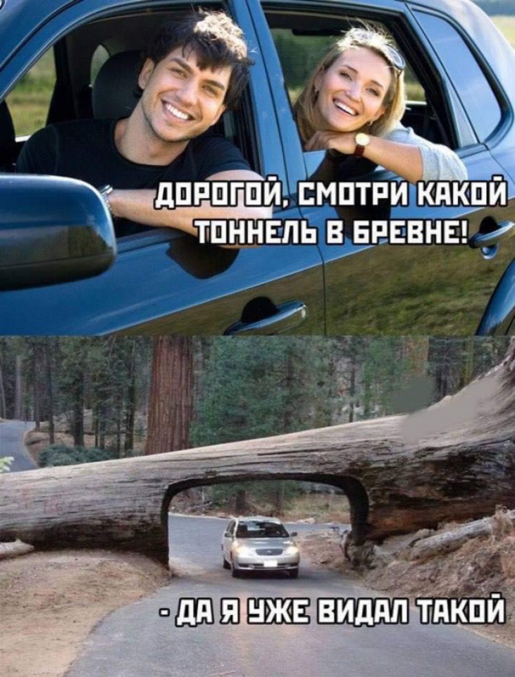 дппт пумптпикякпи тпцнвпь впввнв __ Ь нашедша