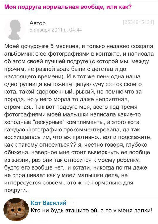 Моя подруга нормальная вообще или как Автор Моей дочурочке 5 месяцев я только недавно создала альбомчик с ее фотографиями в контакте и написала об этом своей лучшей подруге с которой мы между прочим не разлей вода были с детства и до настоящего времени И в тот же лень одна наша одногрупница выложила целую кучу фоток своего кота такой здоровенный рыжий не помню что за порода но у него морда то даже