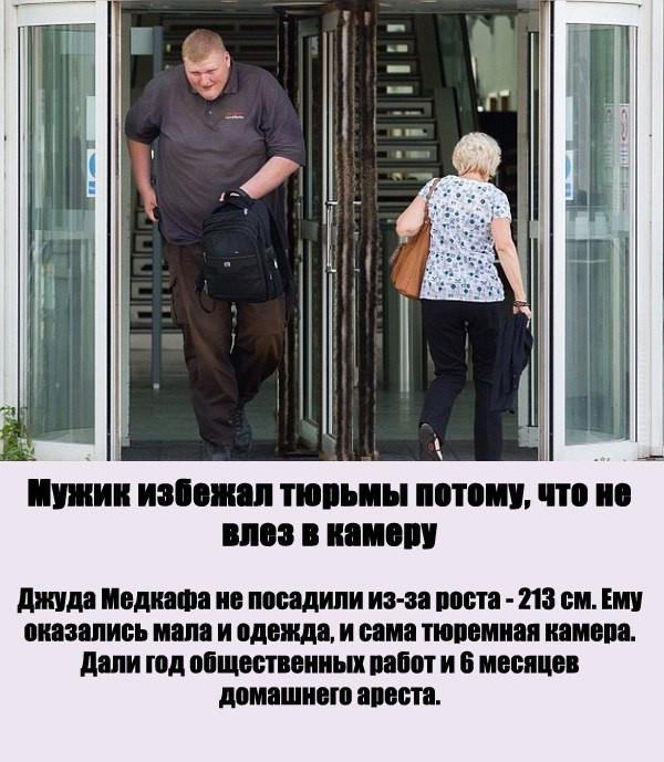 дни щит питии из а ит на он или стать мм и нищие и тиши им М И И ИШ шипит шт