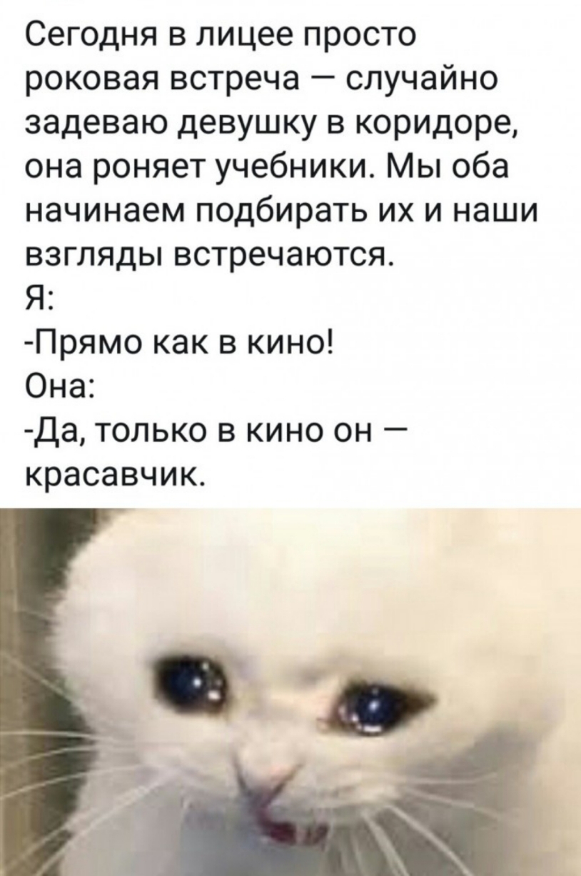 Сегодня в лицее просто роковаявстреча случайно задеваю девушку в коридоре она роняет учебники Мы оба начинаем подбирать их и наши взгляды встречаются Я Прямо как в кино Она Да только в кино он красавчик