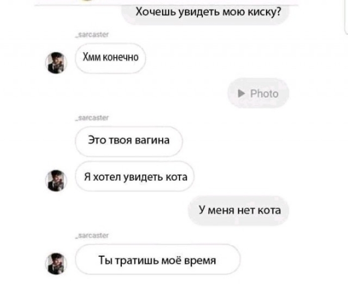 Хочешь увидеть мою киску Хмм конечно Это твоя вагина Я хотел увидеть кота У меня нет кота Ты тратишь моё время