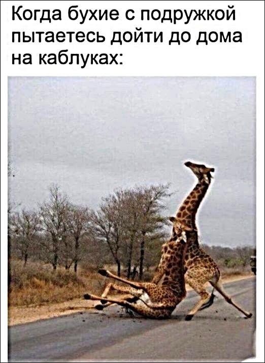 Когда бухие с подружкой пытаетесь дойти до дома на каблуках