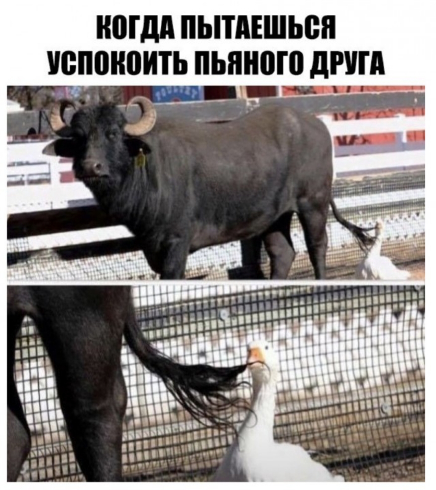 Шдд ПЬПАЕШЬВЯ успокоить ПЬШЮШ дРША
