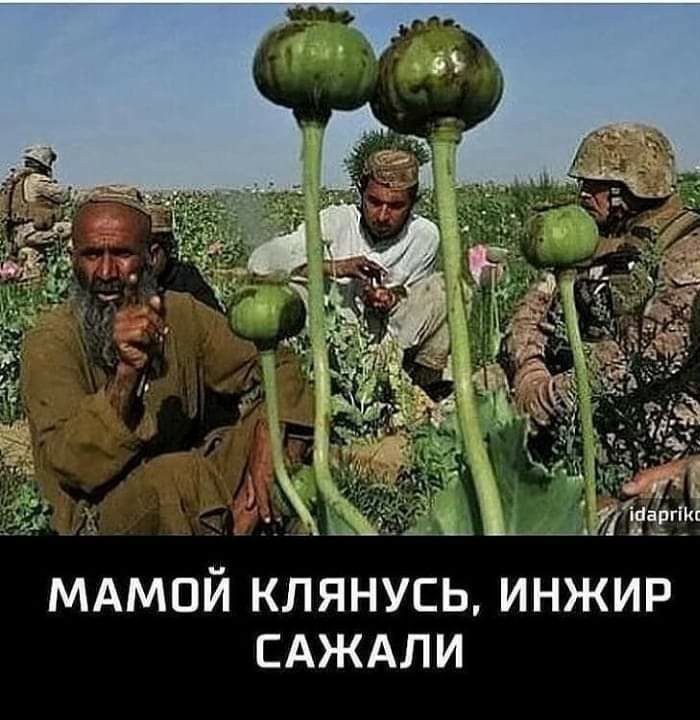 САЖАЛИ