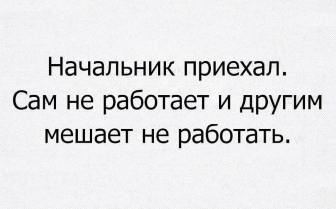 Начальник приехал Сам не работает и другим мешает не работать