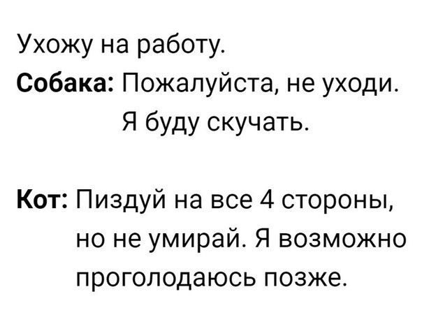 Ухожу на работу Собака Пожалуйста не уходи Я буду скучать Кот Пиздуй на все 4 стороны но не умирай Я возможно проголодаюсь позже