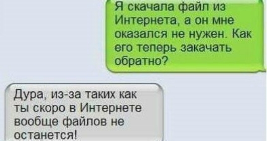 Я скачала файл из Интернета в он мне оказался не нужен Как его теперь закачать обратно дура изза ташх как ты скоро в Интернете вообще файлов не останется