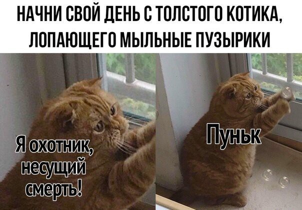 НАЧНИ СВОЙ ДЕНЬ О ТОЛОТОГО КОТИКА ЛОПАЮЩЕГО МЫЛЬНЫЕ ПУЗЫРИКИ _
