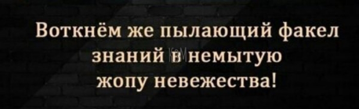 Воткнём же пылающий факел знаний немытую жопу невежества