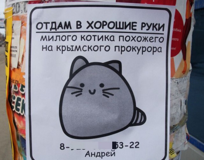 ___ милого котика похожего на крымского прокурора