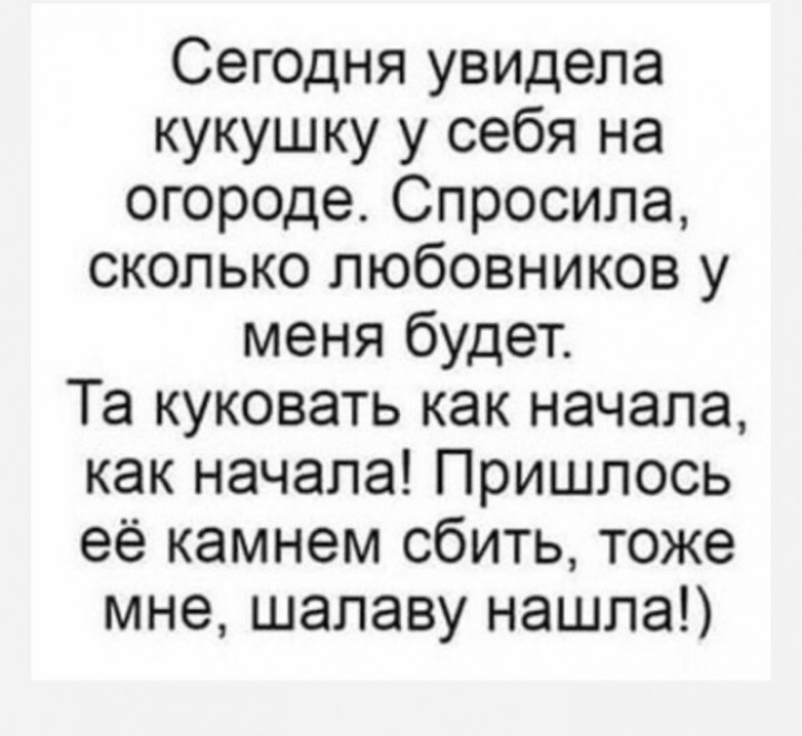 Сегодня увидела кукушку у себя на огороде Спросила сколько любовников у меня будет Та куковать как начала как начала Пришлось её камнем сбить тоже мне шалаву нашла