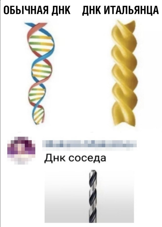 ОБЫЧНАЯ ДНК ДНК ИТАЛЬЯНЦА 1 Днк соседа