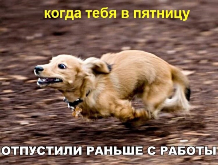 когда тебя в пятницу Е отПУСТИЛИ РАНЬ ЬШЕ Е С РАБОТЫ не не сеет 2