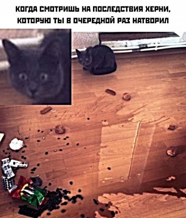 КОГДА СМОТРИШЬ НА ПОСЛЕДСТВИЯ ХЕРНИ КОТОРУЮ ТЫ В ОЧЕРЕДНОЙ РАЗ НАТВОРИЛ
