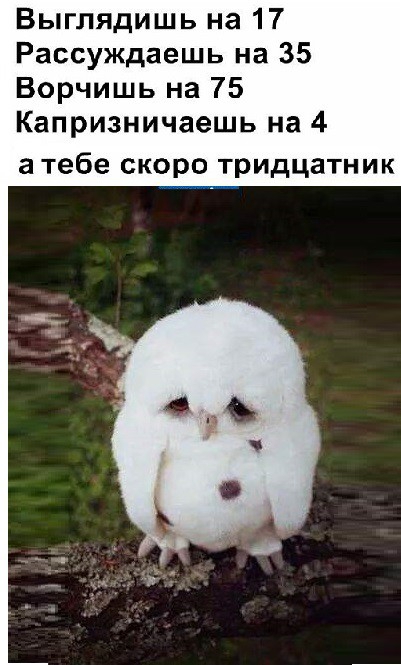 Выглядишь на 17 Рассуждаешь на 35 Ворчишь на 75 Капризничаешь на 4 атебе скоро тридцатник