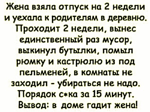 Жена взяла отпуск на 2 недели и уехала к родителям в деревню Проходит 2 недели вынес единственный раз мусор выкинул бутылки помыл рюмку и кастрюлю из под пельменей в комнаты не заходил убираться не надо Порядок ска за 15 минут Вывод в доме гадит жена