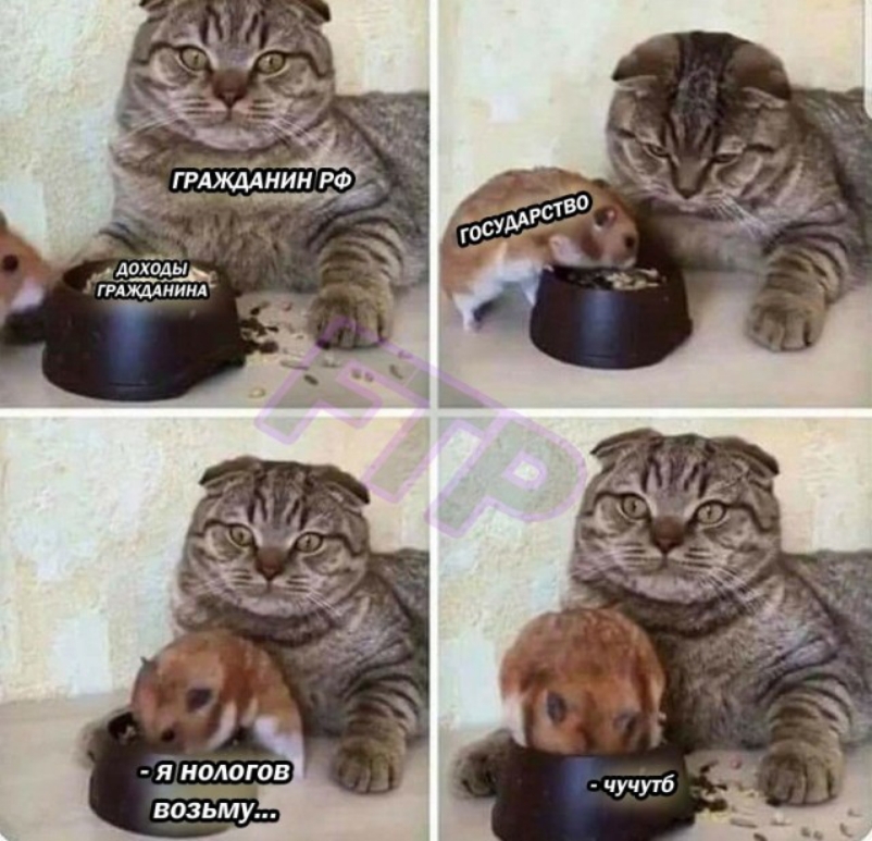 д___0іЪАЪ_ ГРАМАИИНА