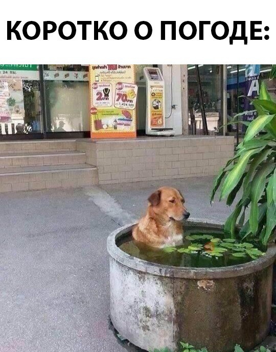 КОРОТКО О ПОГОДЕ и