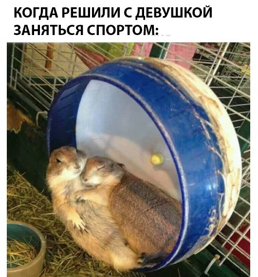 КОГДА РЕШИЛИ С ДЕВУШКОЙ ЗАНЯТЬСЯ СПОРТОМ