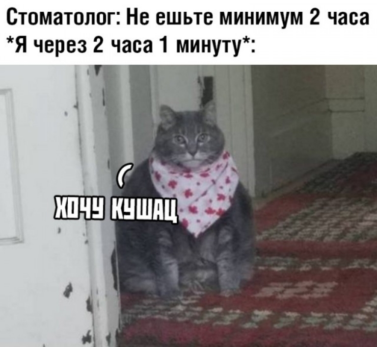 Стоматолог Не ешьте минимум 2 часа Я через 2 часа 1 минуту