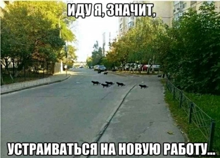 ЮТРАИВМЬВП НА новию РАБПП