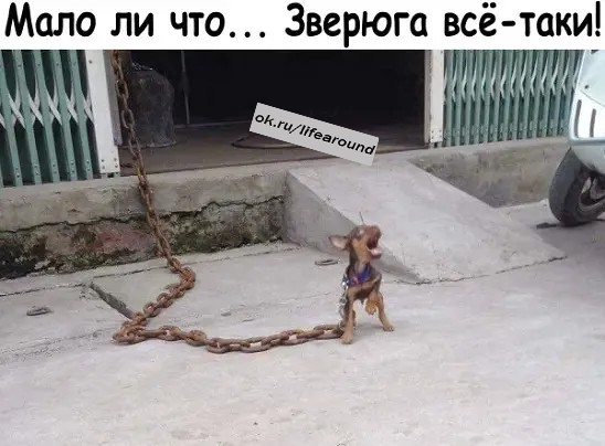 Мало ли что Зверюга всё таки