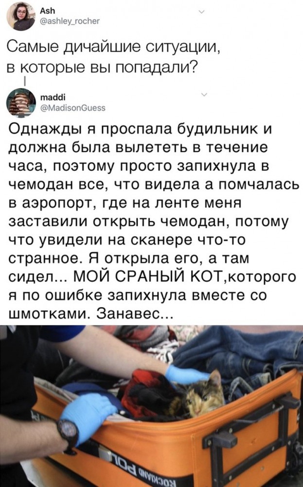 Ази давшим тоспст Самые дичайшие ситуации в которые вы попадали тасші МакітзопОпезэ Однажды я проспала будильник и должна была вылететь в течение часа поэтому просто запихнула в чемодан все что видела а помчалась в аэропорт где на ленте меня заставили открыть чемодан потому что увидели на сканере что то странное Я открыла его а там сидел МОЙ СРАНЫЙ КОТкоторого я по ошибке запихнула вместе со шмотк