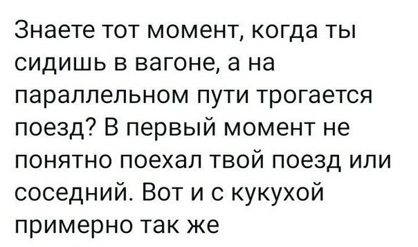 Знаете тот момент когда ты сидишь в вагоне а на параллельном пути трогается поезд В первый момент не понятно поехал твой поезд или соседний Вот и с кукухой примерно так же