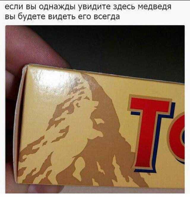 если вы однажды увидите здесь медведя вы будете видеть его всегда