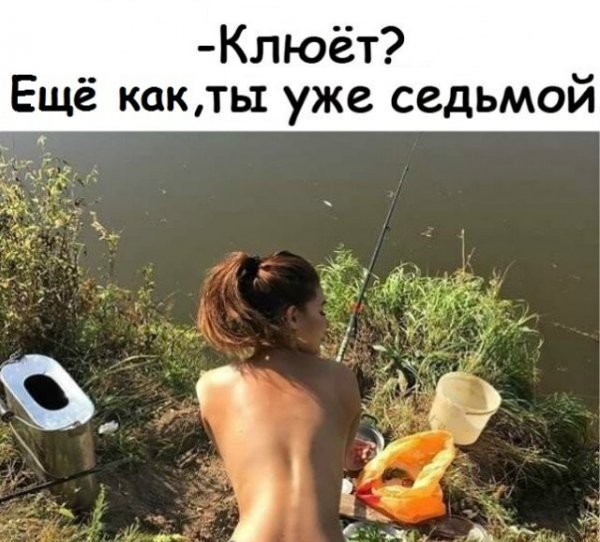Клюёт Ещё какты уже седьмой