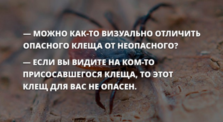 МОЖНО КАК ТО ВИЗУАЛЬНО ОТЛИЧИТЬ ОПАСНОГО КЛЕЩА ОТ НЕОПАСНОГО ЕСЛИ вы видите нд ком то присосдвшвгося киш то этот клещ для ВАС не опдсвн