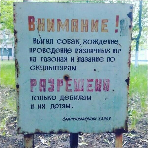 ___ Вь ил совакднождение проведение Различным игр на газонах и пазаиие по скапьптнрам _ динзръги только деБИЛаМ и И детям Ь 93 чаА __ А КЛУЛЩ мгу