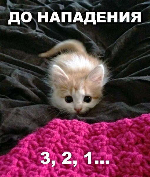 ъ за _ дОНАПАДЕНИЯ__ _ _ь ог з 2 1