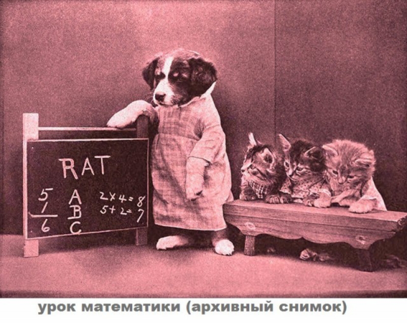 рок математики архивный снимок