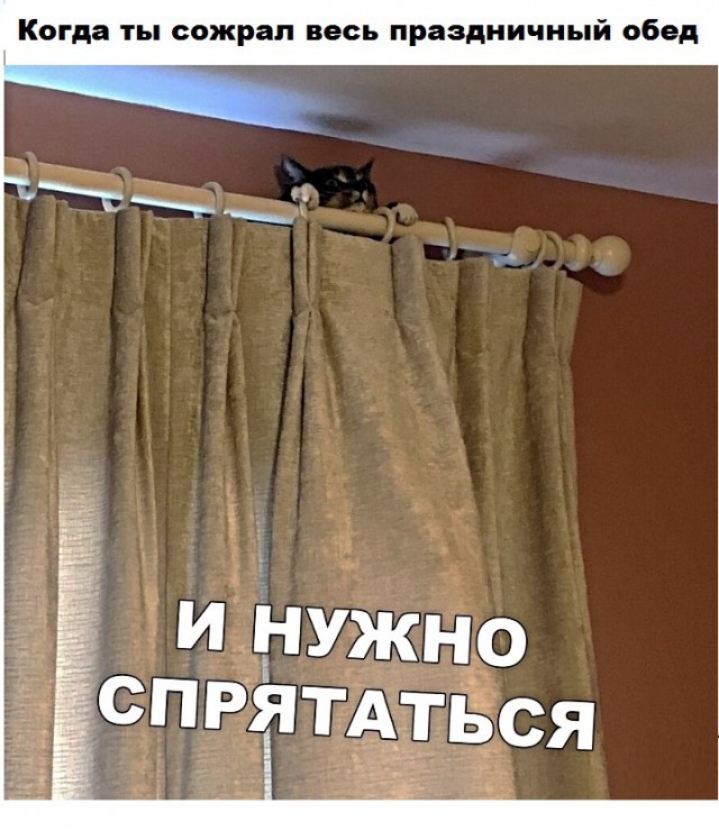 Когда ты сожрал весь праздничный обед