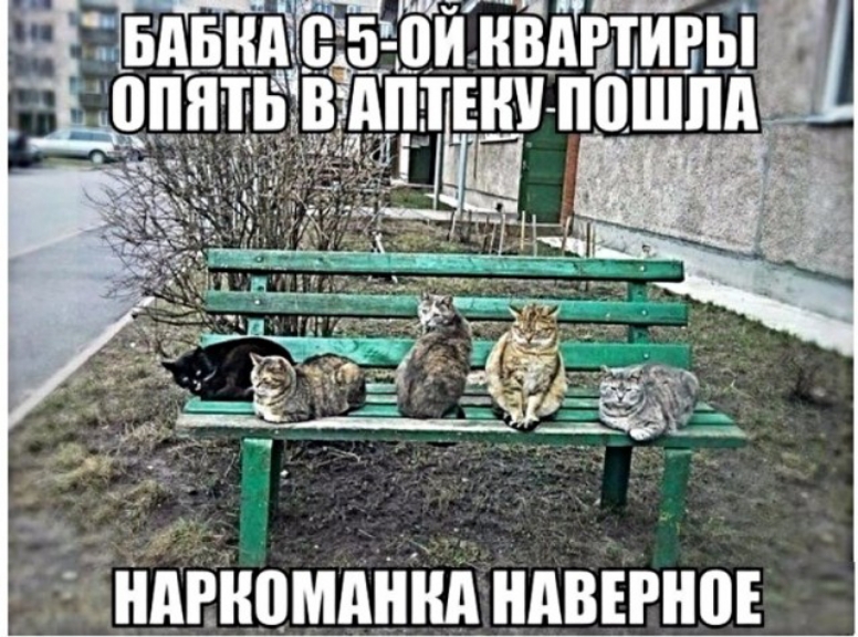 д _ _ _