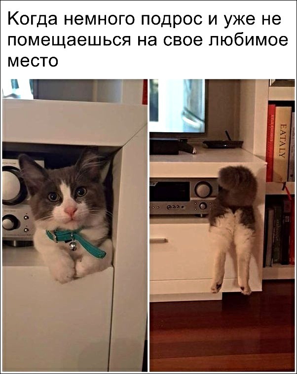 Когда немного ПОДРОС И уже не ПОМЭЩЭЭШЬСЯ на свое Любимое МЭСТО