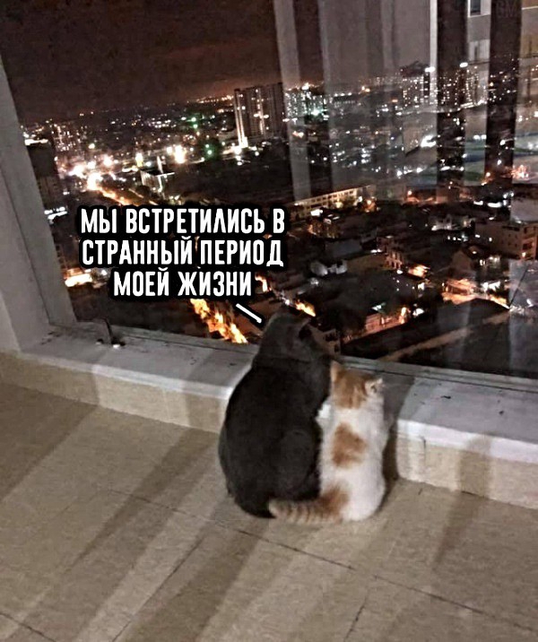МЫ ВБТРЕТИАИСЪ ВТРАННЫЙПЕРЙПД МОЕЙ ЖИЗНЙЖК