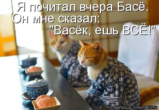 Ччиггал вчера Басё е ска__ал Варек ешь тт ці котрмшрица Ъаоюташх