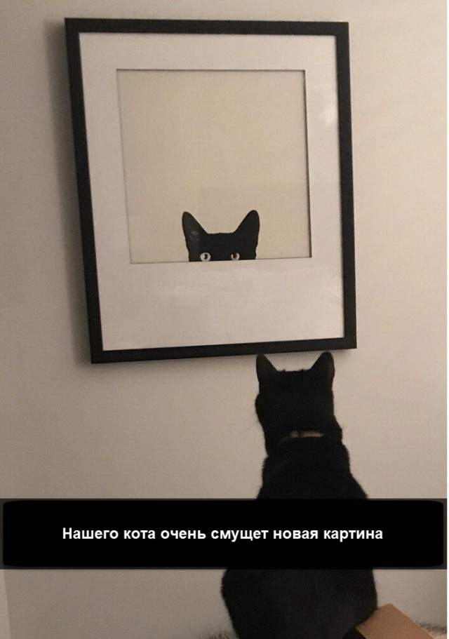 Нашего КОТЗ очень СМУЩЕТ новая КЗРТИНЗ